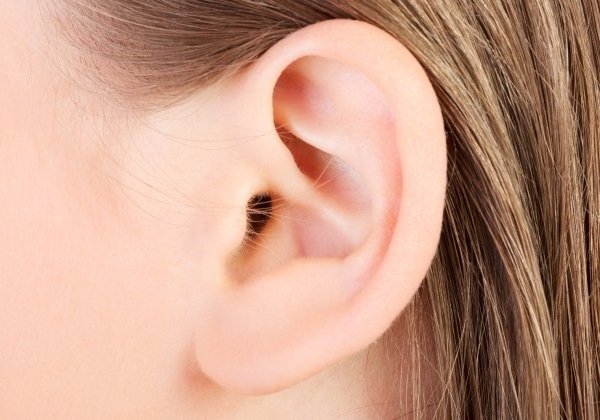 lông mọc ở tai, lông mọc ở vành tai, lông mọc ở lỗ tai, lông mọc ở trong tai, lông trắng mọc ở tai, có lông mọc ở tai, lông đen mọc ở tai